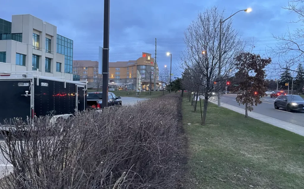 物业维护庭院清理property maintain cleanup