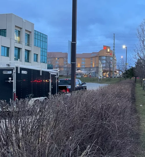 商场广场停车场树篱修剪4